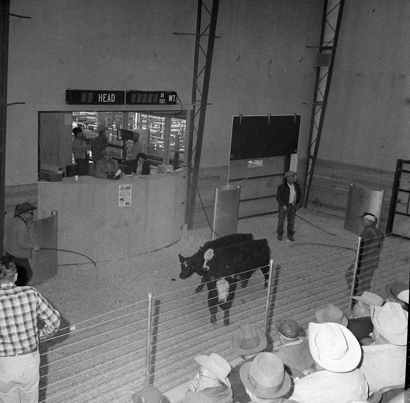 Bygone Walla Walla vintage images of the City and County (and beyond