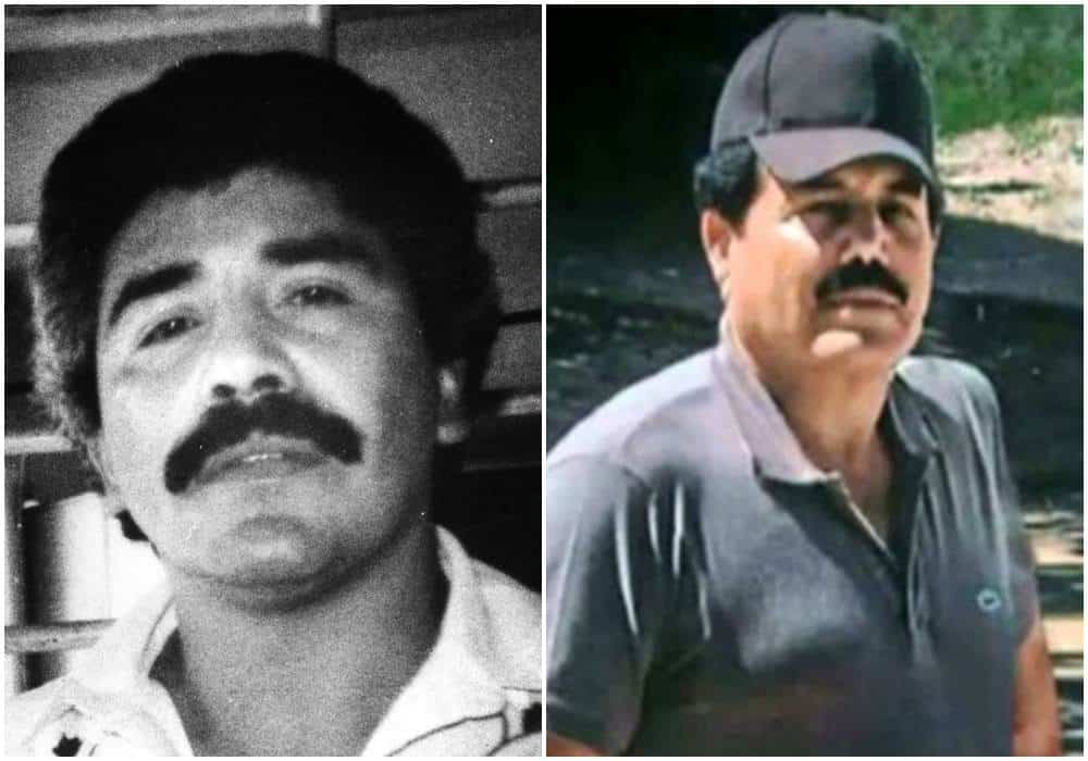 Pedro Aviles Perez ,