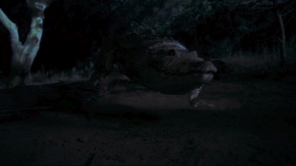 CROCODILO (WEB-RIP/DUAL ÁUDIO/1080P) - 2000 Crocodilo%2B-%2B%2B2000%2B-%2BWEBRip%2B1080p.mkv_4