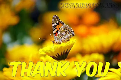 Thank You Images Thank You Images