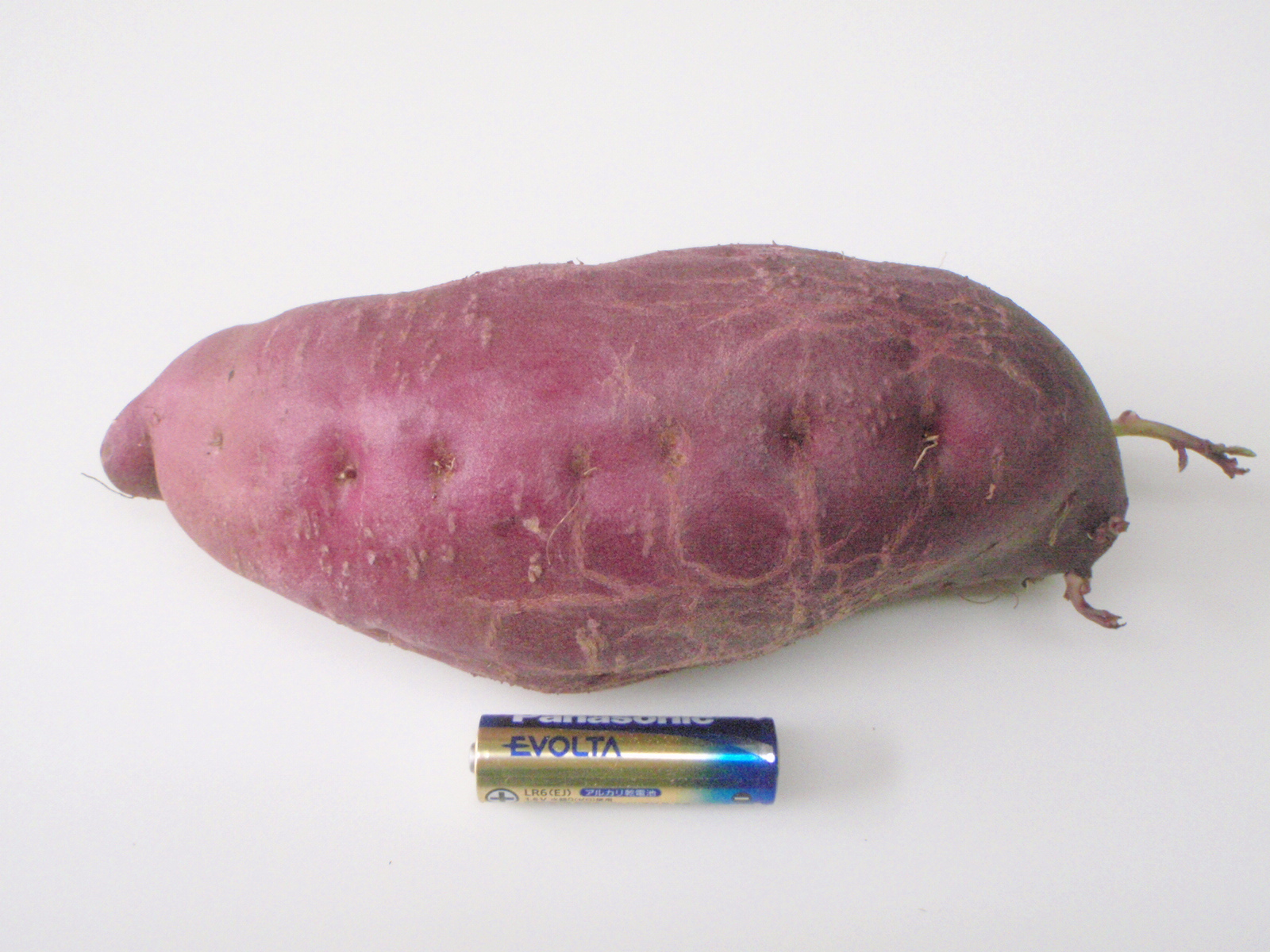 薩摩芋ポムスフレの芋餡入り天麩羅 ブランデー風味の焦がしキャラメリゼ