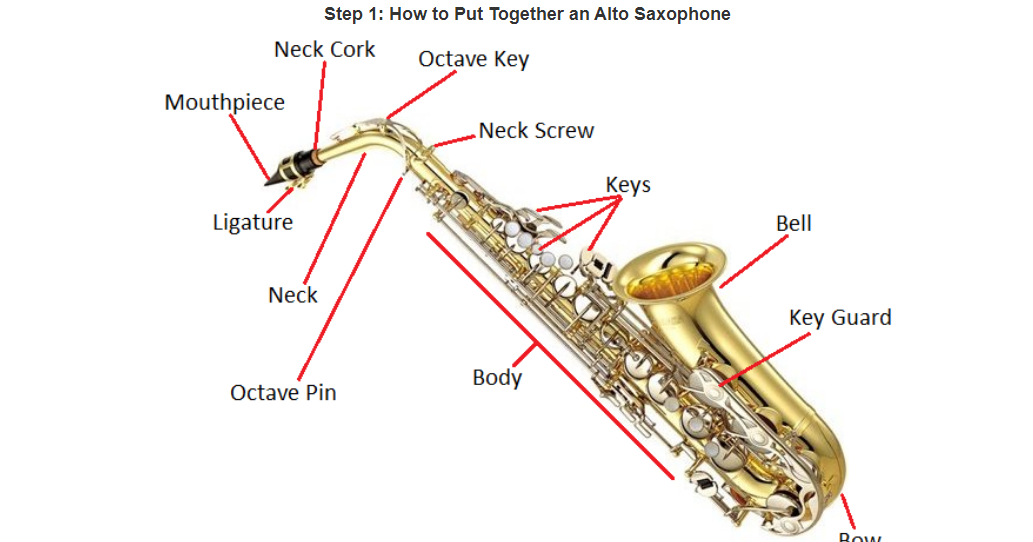 How to Play the Alto Saxophone