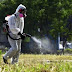 ΠΣΕ: Πρόγραμμα ψεκασμών για τα κουνούπια την εβδομάδα,31 Μαΐου έως 4 Ιουνίου 2021