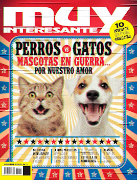 ARTICULO MUY INTERESANTE PERROS VS GATOS