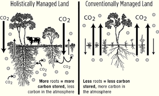 Agricultura Regenerativa Vs Agricultura Extractiva