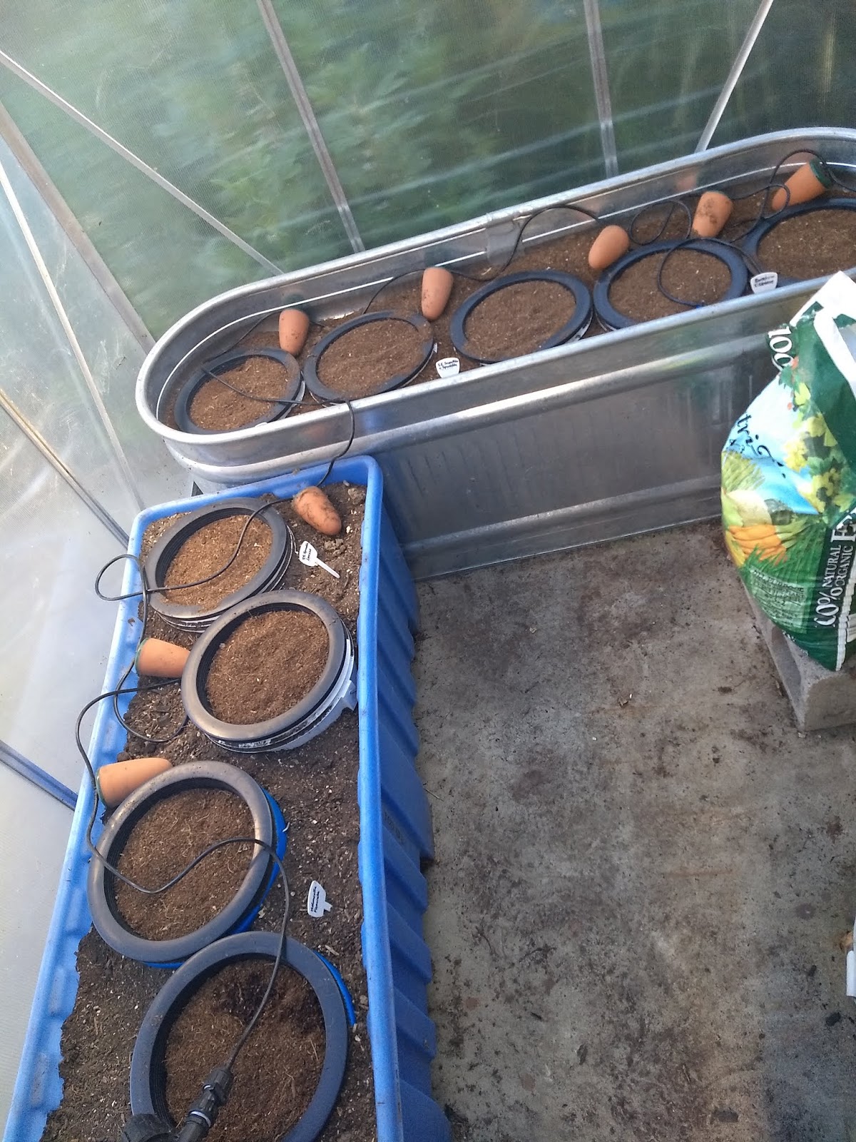 The Scientific Gardener Buckets and Hydroponic Baskets for Growing