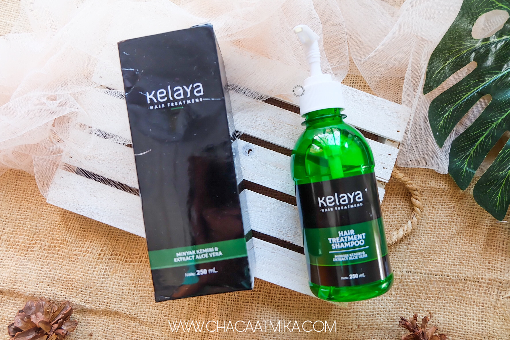 Review Kelaya Shampoo Hair Treatment