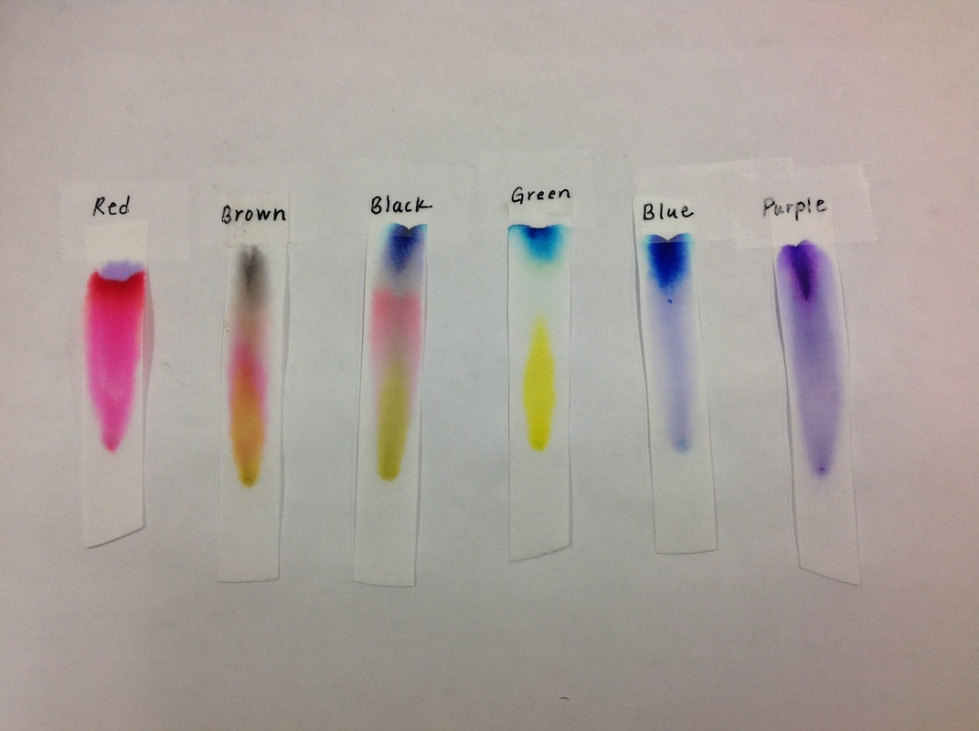 Chromatography