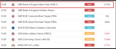 What is the last step in the Fundamental Analysis of forex?