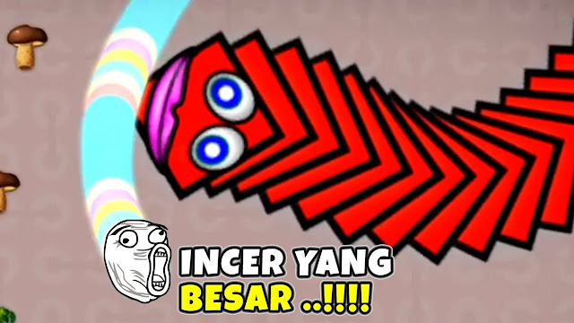 Tips & Triks Cara Bermain Cacing WormZone.io Android cacing gaming