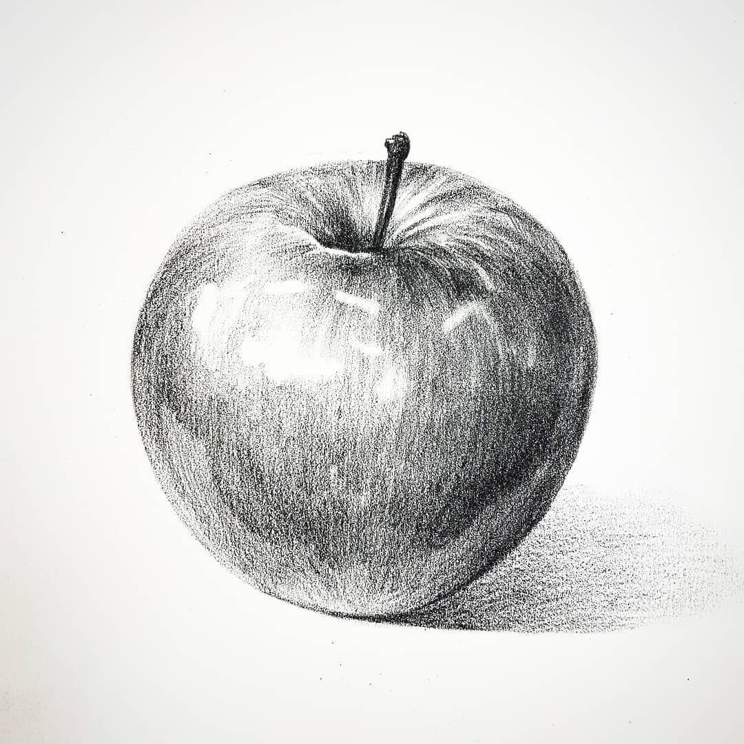 sketchbook apple pencil