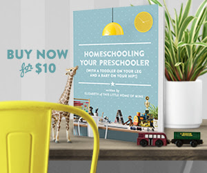 Recommended Reading: Homeschooling Your Preschooler