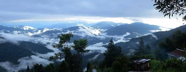 Dawaipani - Darjeeling