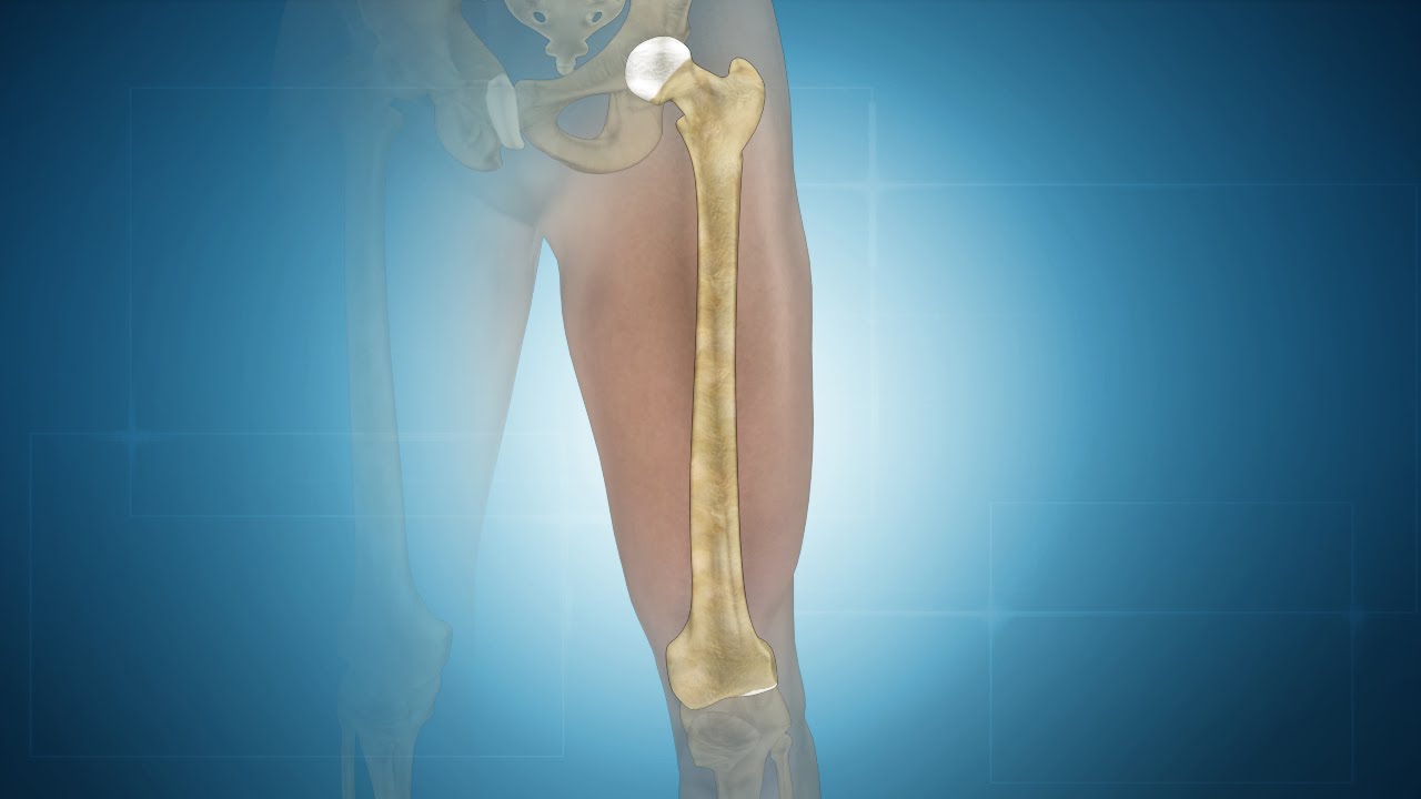 5 Golden Retriever Health Problems to Watch Out For