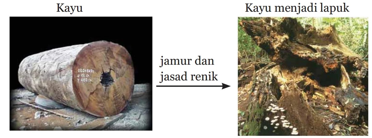 Dan dibentuk yang perubahan batu tanah pada liat adalah genteng menjadi terjadi bata yang Kelebihan Dan Dan dibentuk yang perubahan batu tanah pada liat adalah genteng menjadi terjadi bata yang Granndee: Sejarah