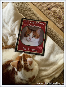 Feline Fiction on Fridays #112 at Amber's Library ©BionicBasil®A Very Merry Cranberry by Timmy