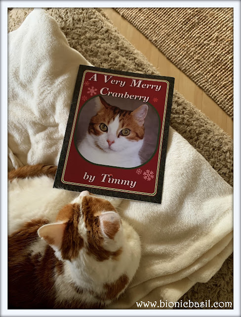 Feline Fiction on Fridays #112 at Amber's Library ©BionicBasil®A Very Merry Cranberry by Timmy