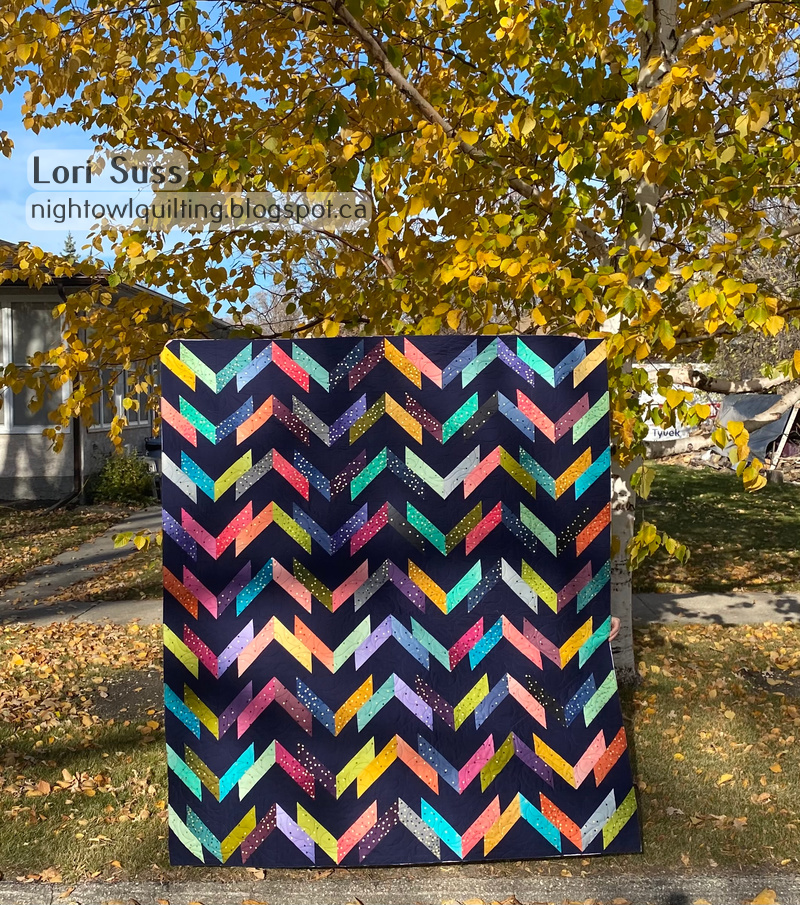 Night Owl Quilting & Dye Works Amy's Washboard Road