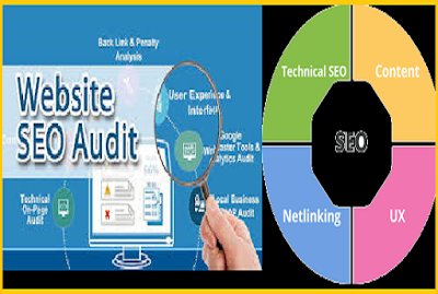 Get an SEO Audit Report with a long term plan action to execute the SEO your website