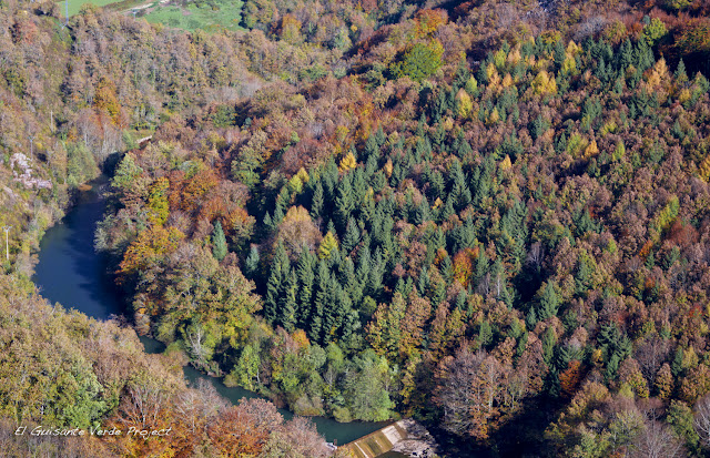 Robledal de Betelu, por El Guisante Verde Project