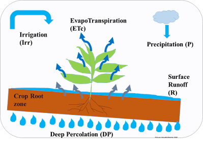 soil water balance