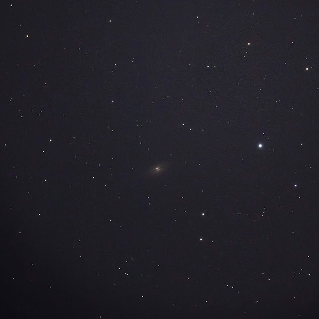 SN2021rhu-NGC7814.jpg