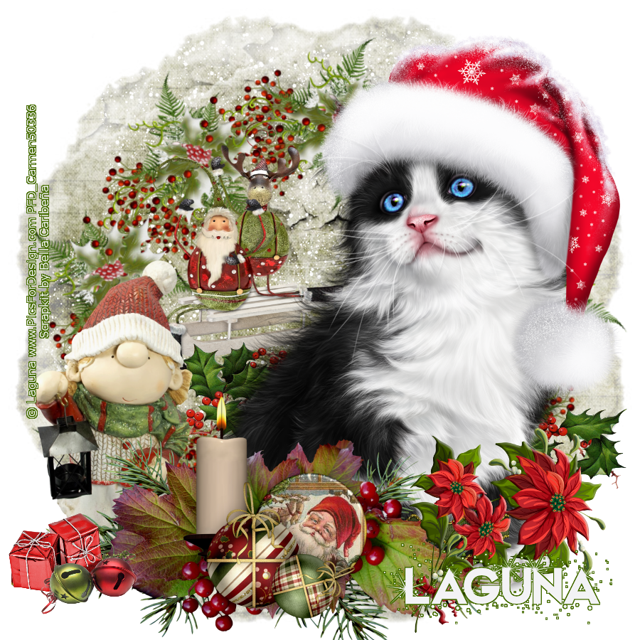 Carmen designs Christmas Kitten with Bird