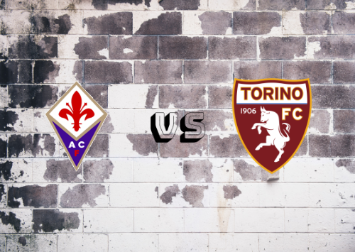Fiorentina vs Torino  Resumen