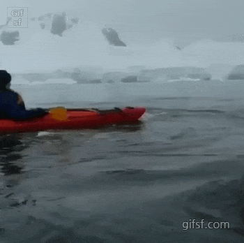 바다 한 가운데에서 마주친 고래.gif | 인스티즈