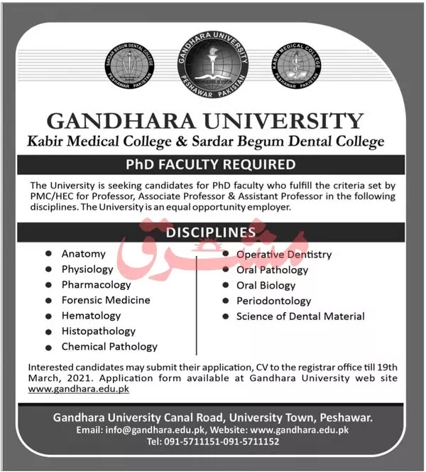Gandhara University Medical Jobs 2021 in Peshawar KPK