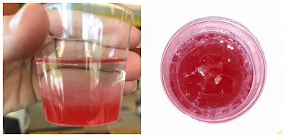 Strawberry DNA Extraction Program