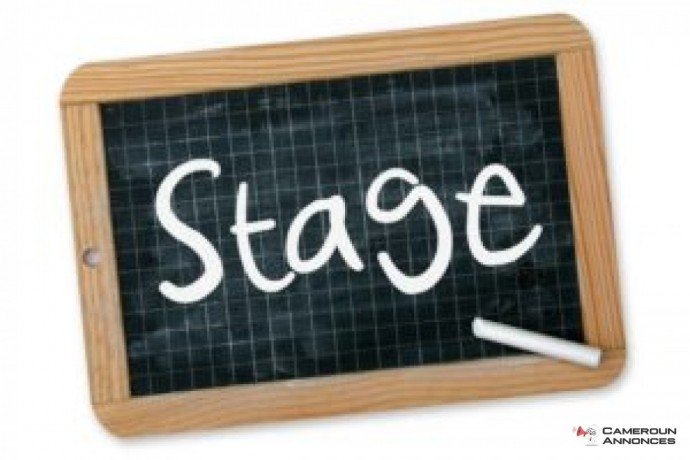 Offre De Stage Professionnel Pre Emploi Au Poste D Assistante