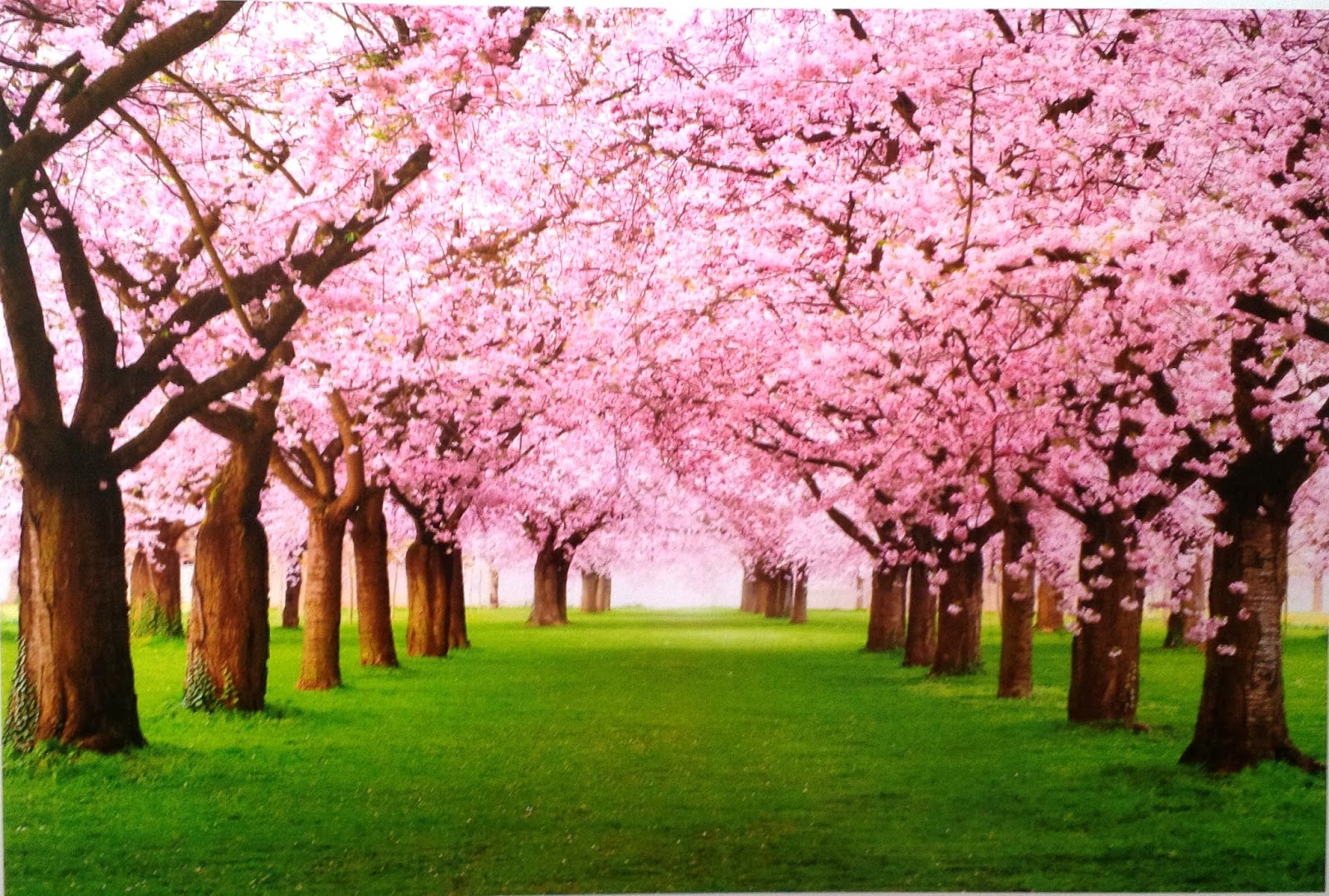 Wallpaper Pemandangan Blog Wallpaper Dinding Desain Wallpaper Wallpaper Pemandangan Blog Wallpaper Dinding Desain Wallpaper