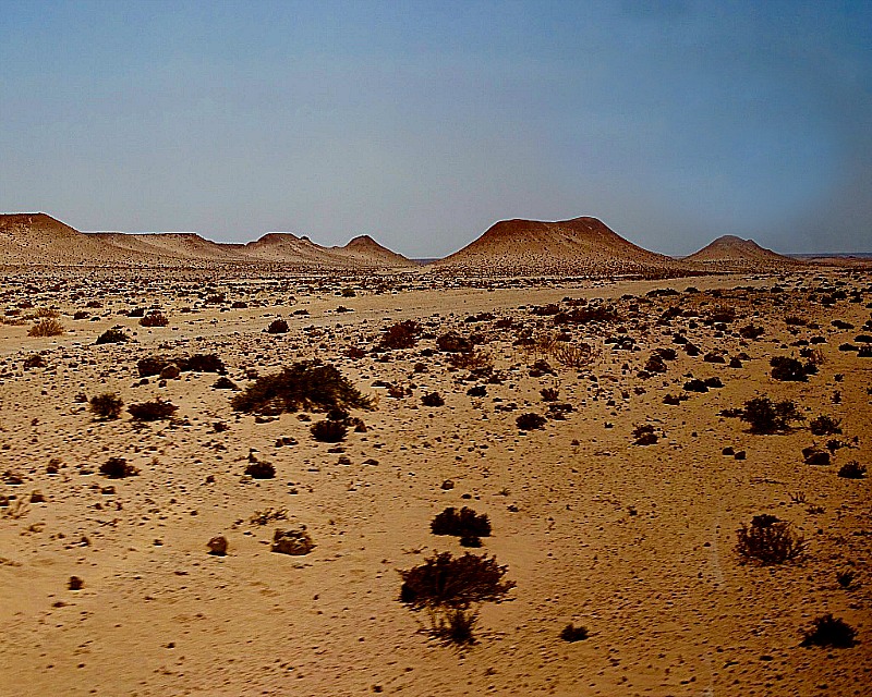 the desert wanderings