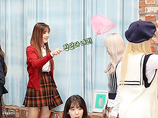 아이즈원> 잠자리채로 나코 잡은 은비