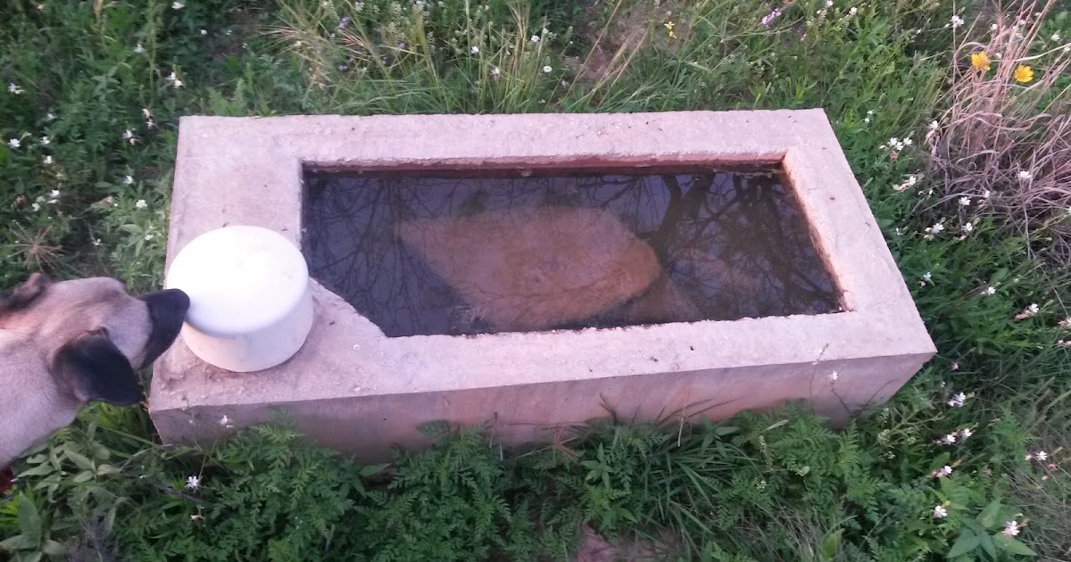 Poth picture of the day Ranch Water Troughs