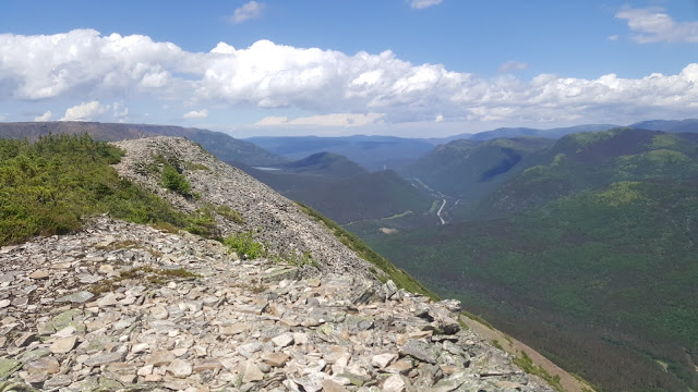 Au sommet Nord du Hog's Back