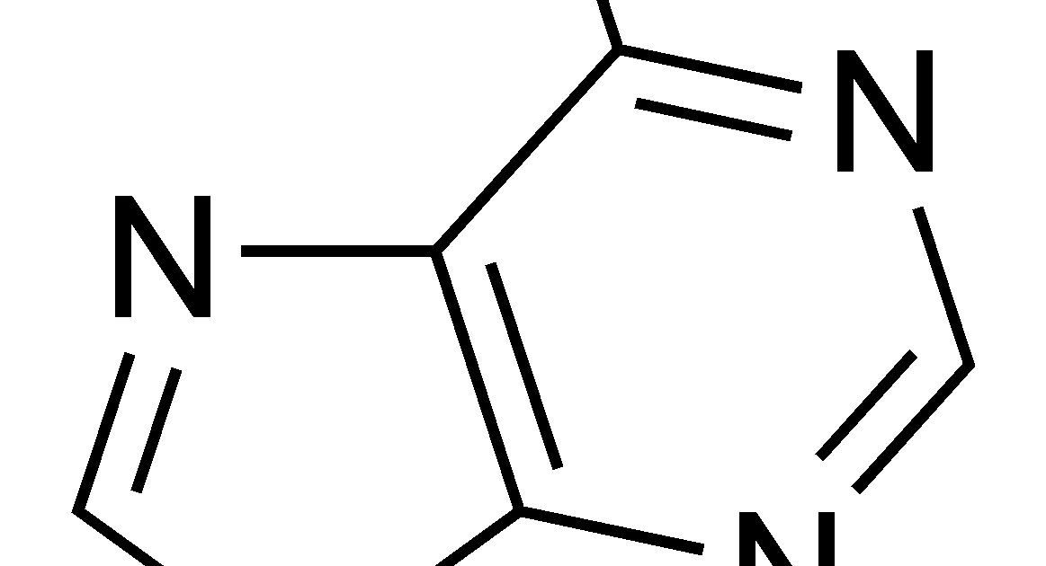 BIOLOGY BLOG