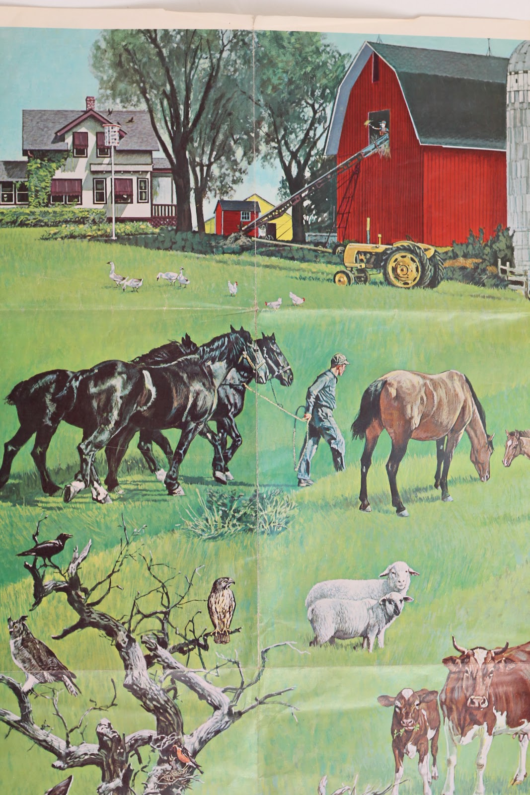 Walrus Vintage Farm PosterSOLD at Alameda Antiques Market