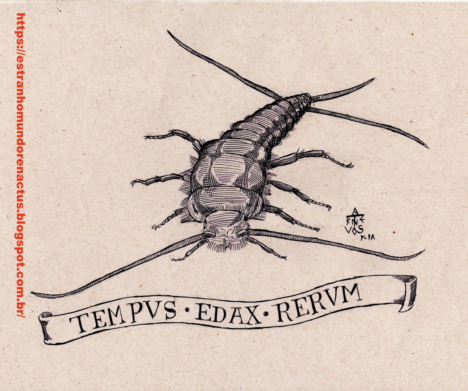 Estranho Mundo de Renactus Zoo: Thysanura ( traças-dos-livros)