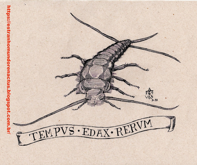 Estranho Mundo de Renactus Zoo: Thysanura ( traças-dos-livros)