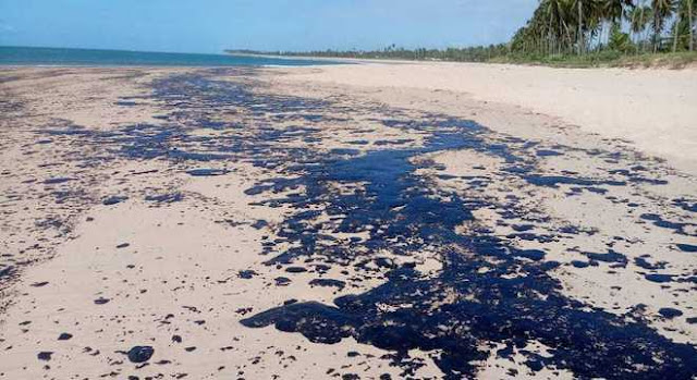 Especialista recomenda evitar comer frutos do mar de 3 praias do litoral norte da Bahia