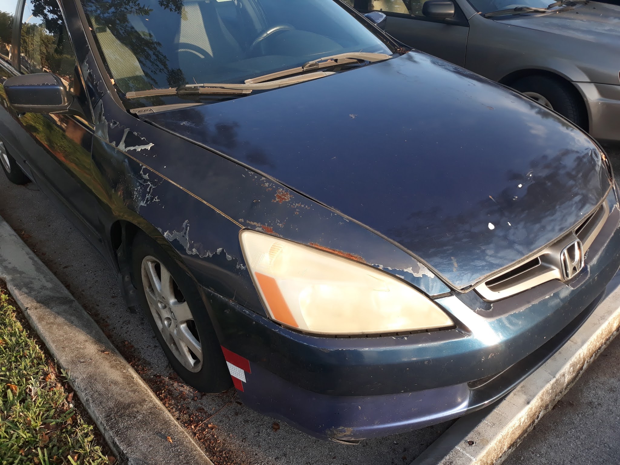 WTF is Happening to Honda Factory Paint