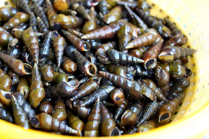 Gift from above (sea level) | dead-hungry