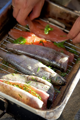 Волшебный домик Лив