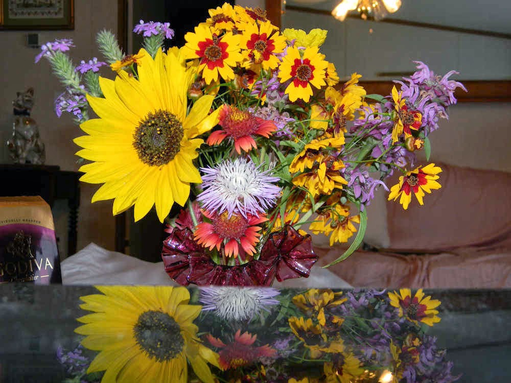 Texas Wildflower Arrangement Texas Wildflower Arrangement