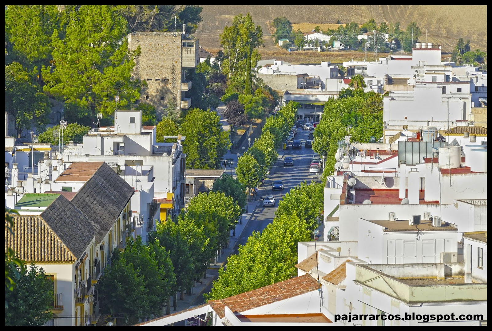 PajarrArcos: Mirador de Torrevieja en Villamartin