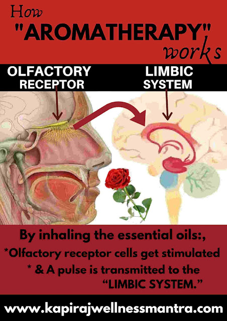 How aromatherapy works