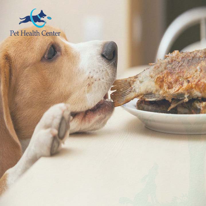 What Human Foods Are Good For Dogs Pet Health Center