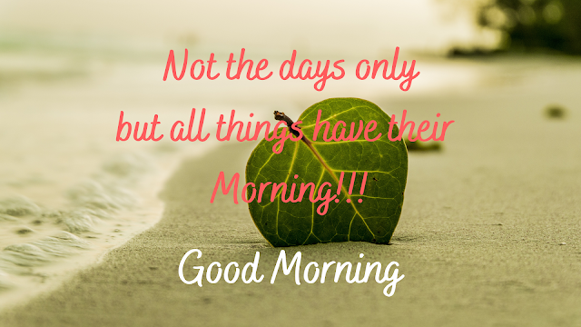 Best Morning Inspirational Quotes 2023 to Boost Your Whole Day